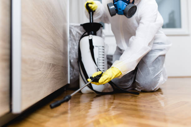 Best Affordable Pest Control Services  in Maiden, NC