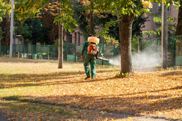 Best Commercial Pest Control Services  in Maiden, NC